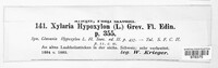 Xylaria hypoxylon image